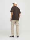 Pantalon JACK &amp; JONES PAULFLAKE CROCKERY NOOS