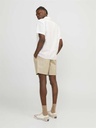 Short JACK &amp; JONES JPSTJAIDEN JJJOGGER SHORT