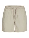 Short JACK &amp; JONES JPSTAIDEN JJJOGGER SHORT BE FR