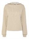 Sweat PIECES PCALLI LS LUREX HOODIE FC BC